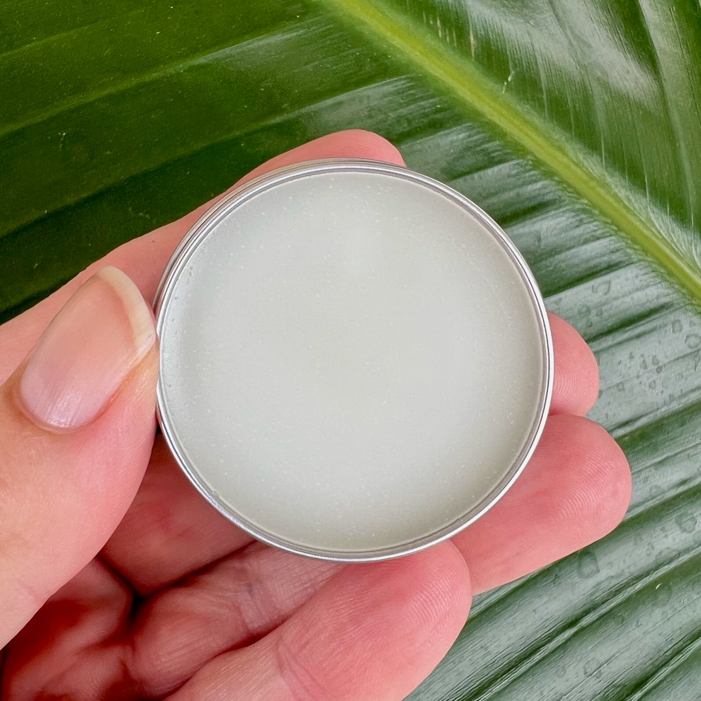 Salve & Tool Duo (limited time)